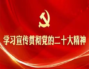 学习宣传贯彻党的二十大精神